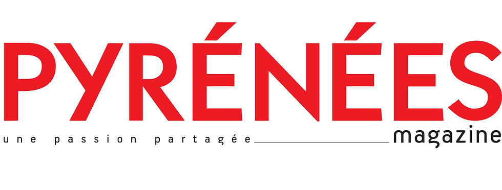 Pyrenees mag Asyourweb, agence web de création de sites Internet et référencement naturel à Tarbes (65) et Pau (64)